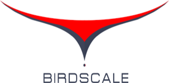 UAV Technology, Birdscale Technologies